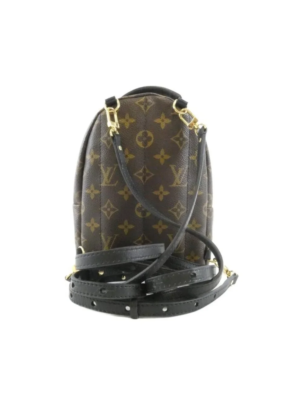 Louis Vuitton Monogram Palm Springs Backpack Mini